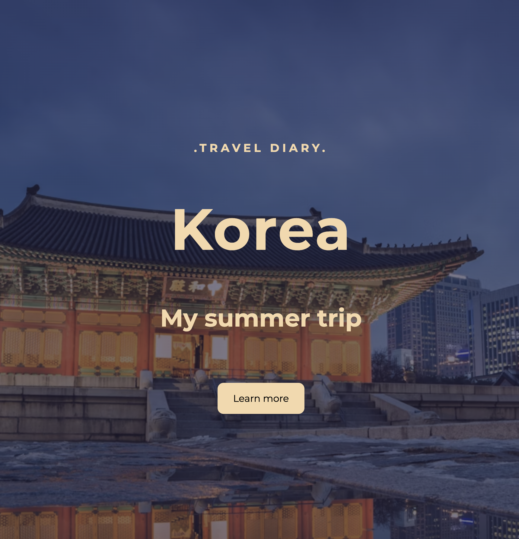 Travel Diary project preview